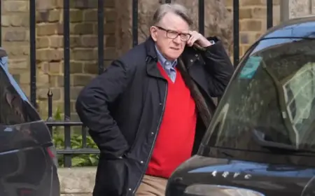 Mandelson Faces £300 Fine for Public Urination