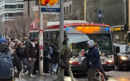 Line 2 Halted Due to Second TTC Oil Spill This Week