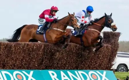 Gold Dancer Euthanized After Tragic Injury at Mildmay Novices’ Chase