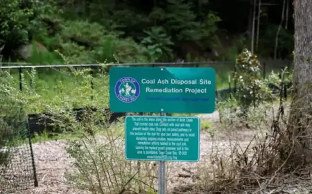 EPA Proposes Easing Toxic Coal Ash Rules, Threatening Groundwater Safety