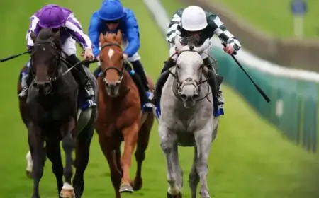 Promising 2000 Guineas Contender Gewan Passes Away