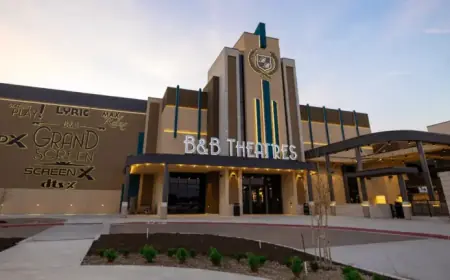 Cinema Owners Confirm Zendaya, Tom Holland as Box Office Draws