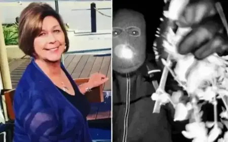 Investigators Urged to Revisit Arizona Home for Nancy Guthrie DNA Samples