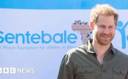 Charity Sentebale Sues Prince Harry for Defamation