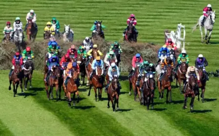 Grand National Final Field Set as Reserve Deadline Closes