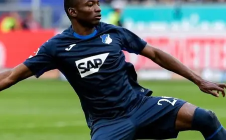 Augsburg Faces Hoffenheim: Predictions, Team News, and Lineups