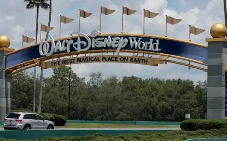 Esparto Fireworks CEO Arrested at Disney World