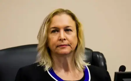 Yankees’ Funding Key to Meeting Rays Stadium Request: Tampa Bay County