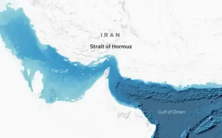 Ceasefire Halts Strait of Hormuz Mapping Operations