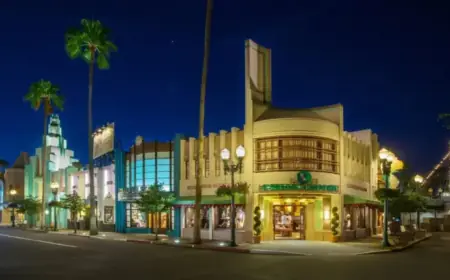 California Fireworks Explosion Suspect Arrested at Walt Disney World