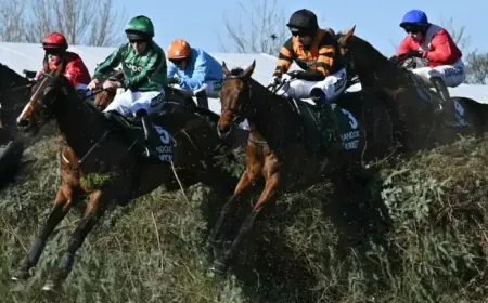 Expert Grand National Tips: Top Mare and 50/1 Longshot Highlighted