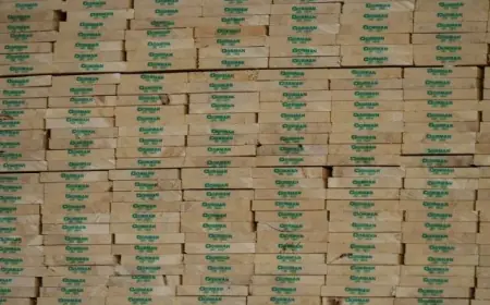 B.C. Wood Manufacturers Criticize U.S. Lumber Dispute as ‘Broken Process’