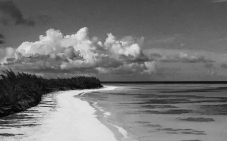 Lynette Hooker’s Disappearance: Key Details and Latest Updates