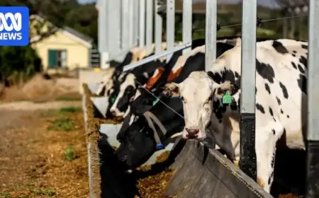 Milk Prices Rise to Offset Fuel and Fertilizer Cost Surge