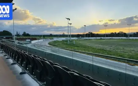 Queensland Track Safety Issues Frustrate Greyhound Trainers