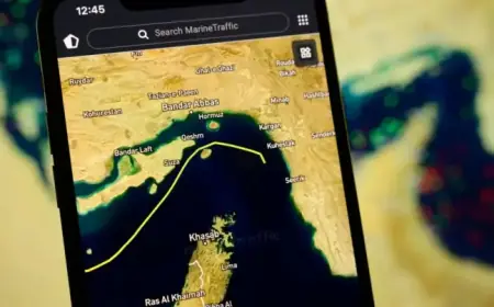 Experts Warn Strait of Hormuz Toll Poses Significant Economic, Geopolitical Risks