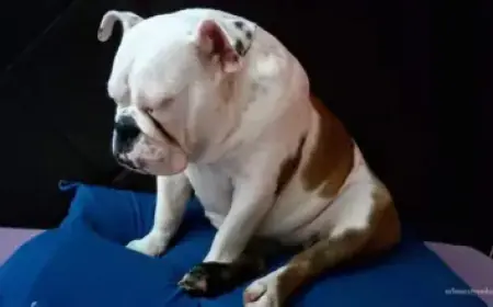 Joan Beringer Seizes Golden Opportunity as Regular Season Concludes