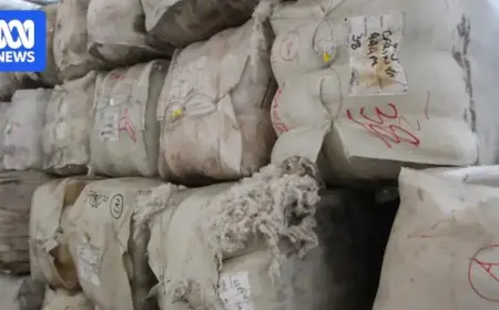 Major Wool Handler Relocates, Impacting Western Australia Industry