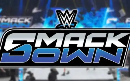 WWE Surprises Fans by Reviving Missing Star