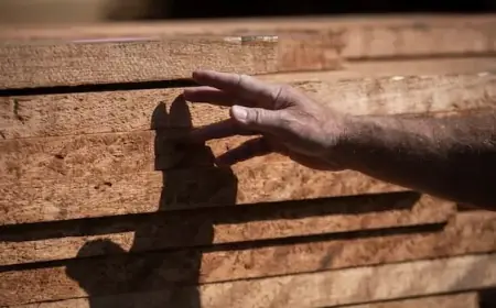 U.S. Reduces Canadian Softwood Lumber Tariffs Amid Persisting Uncertainty