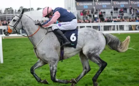 2026 Aintree Grand National: Meet the Sole Grey Horse and Its Odds