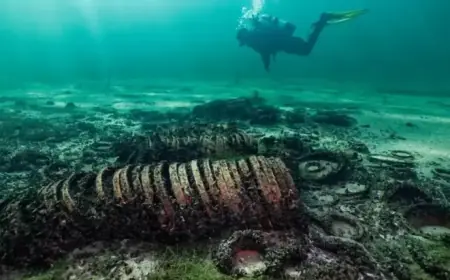 2,000-Year-Old Swiss Lake Shipwreck Reveals Roman Chariot Artifacts