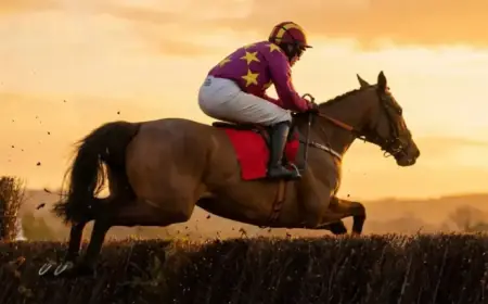 Is Monty’s Star Set to Shine at the Grand National?