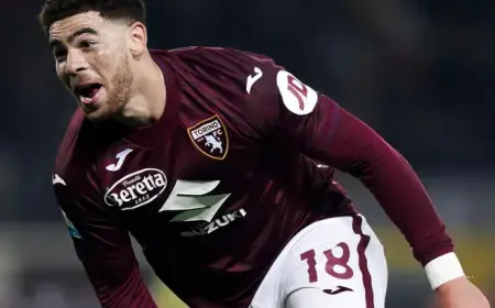 Torino vs. Hellas Verona Preview: Predictions, Team News, and Lineups