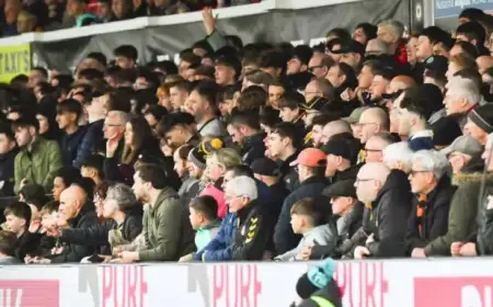 Thank You, Supporters: Exciting Finale Awaits!