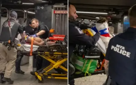 NYC Police Halt Weekend Trains After Shooting Machete Attacker at Grand Central