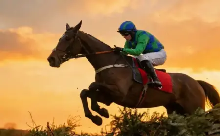 Champ Kiely: Overlooked Grade One Winner Ignites Market Interest