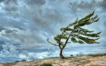 Baku Braces for Strong Winds as Yellow and Orange Warnings Issued