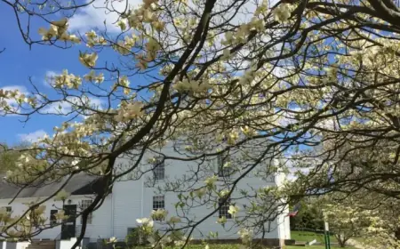 Day 11: Celebrate National Poetry Month with Top Picks