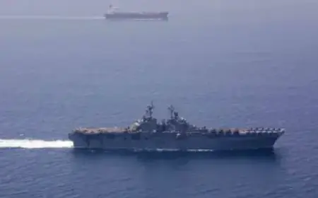 Advisers Divided on Surging $300 Billion Investment Trend