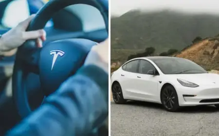 Man Reveals How His Tesla Model 3 Surpassed 359,999 Miles