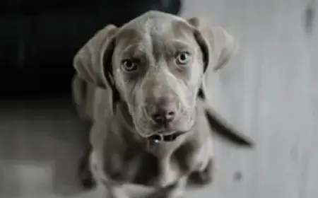 US-Iran Peace Talks Unfold in Pakistan: Live Updates