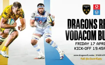 Bulls Set to Arrive in Newport in One Week