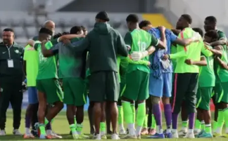 Nathan Fillion’s Crime Thriller Secures Spinoff as Pilot Order Confirmation Looms