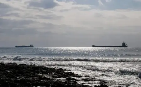 Vitol Restructures Derivatives Team Following Energy Trading Losses