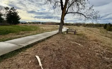 Lightning Strikes Woman in Superior: Identified, Critical Condition