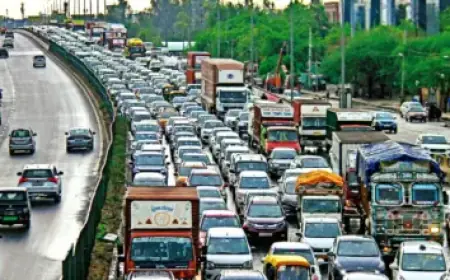 Laura Sanko Secures New Broadcast Agreement with UFC and Paramount