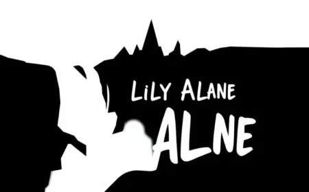 Lily Allen Tours Niagara Falls on Her Canadian Concert Journey