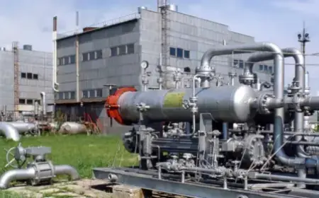 Should You Reevaluate E.ON (XTRA:EOAN) After Impressive Multi-Year Gains?