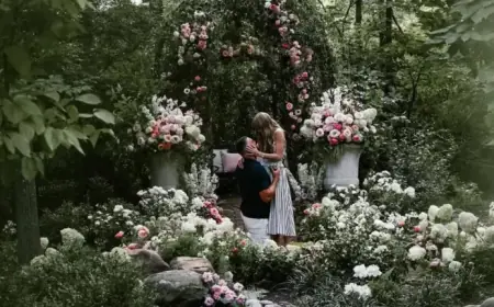 Taylor Swift and Travis Kelce: Kansas Proposal, Wedding Date Unveiled
