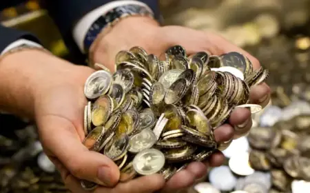 Lower Saxony Leads in Purchasing Power, Bremen Lags Behind