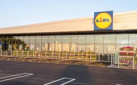 Lidl Announces Plans for New Stores at 5 Dorset Locations