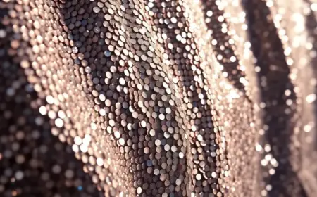 Kylie Jenner’s Lavish Coachella House Tour Draws Criticism