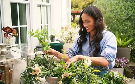 Comedian Mocks Meghan Markle’s Unsuccessful Martha Stewart Aspirations: ‘Slinging Jam’