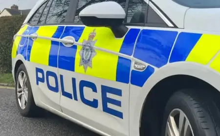 Lincolnshire Police Volunteer Resigns After Sexual Assault Conviction