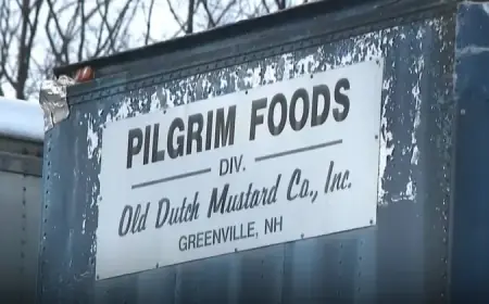 Mustard Company CEO Sentenced for Polluting Souhegan River